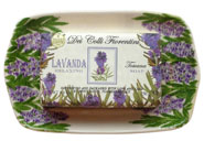 Soapholder